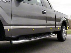 Body Molding Insert Trim Kit; Stainless Steel (09-14 F-150 SuperCab w/ 5-1/2-Foot Bed & OE Fender Flares)