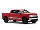 Body Side Molding Accent Trim; Stainless Steel (19-25 Silverado 1500 Crew Cab)