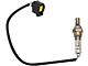 2-Piece O2 Oxygen Sensor Set; Downstream (02-18 RAM 1500 w/ California Emissions)