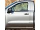 Chrome Body Side Molding (09-18 RAM 1500 Regular Cab)