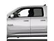 ChromeLine Body Side Molding; Hydro Blue (09-18 RAM 1500 Quad Cab)