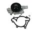 Engine Water Pump (02-03 5.9L RAM 1500)