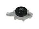 Engine Water Pump (02-03 5.9L RAM 1500)