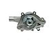 Engine Water Pump (02-03 5.9L RAM 1500)