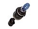 EVO Formance Alfas High Lumen Halogen Headlight Bulb; Low Beam; 9007 (99-05 RAM 1500)