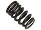 Exhaust Valve Spring (02-07 4.7L RAM 1500)