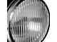 Factory Style Fog Light; Clear Lens; Passenger Side (99-01 RAM 1500 Sport)