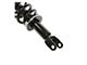 Front Strut and Spring Assemblies (09-18 4WD RAM 1500)