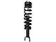 Front Strut and Spring Assemblies (09-18 4WD RAM 1500 w/o Air Ride)