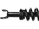 Front Strut and Spring Assemblies (09-18 4WD RAM 1500 w/o Air Ride)