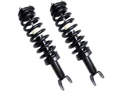 Front Strut and Spring Assemblies (06-08 4WD RAM 1500, Excluding Mega Cab)