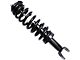 Front Strut and Spring Assemblies (06-08 4WD RAM 1500, Excluding Mega Cab)