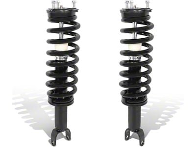 Front Strut and Spring Assemblies (06-08 4WD RAM 1500, Excluding Mega Cab)