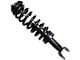 Front Strut and Spring Assembly (06-08 4WD RAM 1500, Excluding Mega Cab)