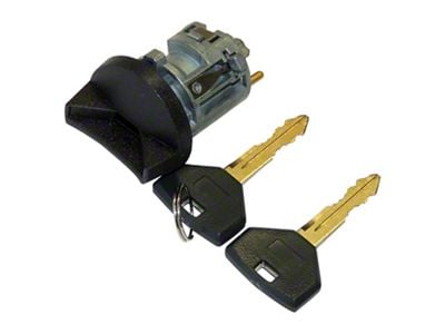Ignition Lock Cylinder and Switch (2002 RAM 1500)