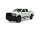 Lower Rocker Panel Stripes; Matte Black (94-24 RAM 1500)