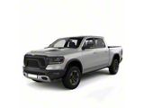 Lower Side Stripes; Gray (02-18 RAM 1500)