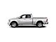 Painted Body Side Molding; Billet Metallic (09-18 RAM 1500 Quad Cab)