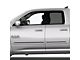 Painted Body Side Molding with Black Insert; Black Metallic (09-18 RAM 1500 Quad Cab)