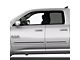 Painted Body Side Molding with Black Insert; Patriot Blue Pearl (09-18 RAM 1500 Quad Cab)