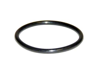 PCV Valve O-Ring (09-24 5.7L RAM 1500)