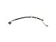 Rear Brake Hose with Steel Line; Passenger Side (14-19 RAM 1500)