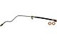 Rear Brake Hydraulic Hose; Driver Side (05-06 RAM 1500 SRT-10 Quad Cab)