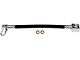 Rear Brake Hydraulic Hose; Passenger Side (02-08 RAM 1500, Excluding SRT-10)