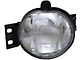 Replacement Fog Light; Driver Side (02-08 RAM 1500)