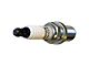 Spark Plug (02-07 4.7L RAM 1500)