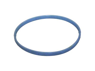 Throttle Body Gasket (02-06 3.7L RAM 1500)