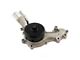 Water Pump (13-17 3.6L RAM 1500)