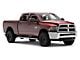 5-Inch Running Boards; Stainless Steel (10-24 RAM 2500 Crew Cab)