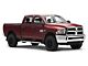 5-Inch Wide Flat Running Boards; Stainless Steel (10-24 RAM 2500 Crew Cab)