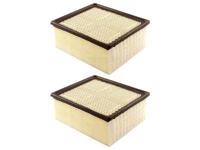 Air Filter; 2-Pack (07-18 6.7L RAM 2500)