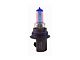 EVO Formance Spectra Vibrant Blue Halogen Headlight Bulb; Low Beam; 9007 (99-05 RAM 2500)