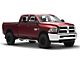 Pro Traxx 4-Inch Oval Side Step Bars; Stainless Steel (10-24 RAM 2500 Crew Cab)