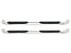 Platinum 4-Inch Oval Side Step Bars; Stainless Steel (03-09 RAM 2500 Quad Cab)