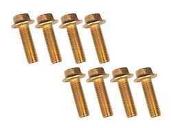 Bed Mounting Bolt Kit (03-24 RAM 3500)