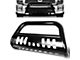 Bull Bar; Black (10-18 RAM 3500)