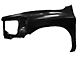 OE Certified Replacement Fender; Front Driver Side (06-09 RAM 3500)