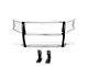 Grille Guard; Chrome (10-18 RAM 3500)