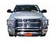 Grille Guard; Stainless Steel (10-18 RAM 3500)