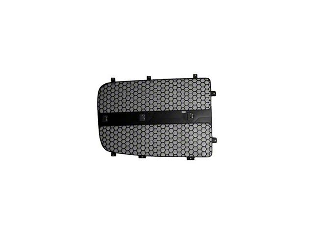 Replacement Grille Insert; Filler (04-05 RAM 3500)