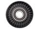 Serpentine Belt Idler Pulley (03-08 5.7L RAM 3500)