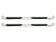 Platinum 4-Inch Oval Side Step Bars; Stainless Steel (03-09 RAM 3500 Quad Cab)