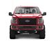 Raxiom CXR Series LED Headlights; Black Housing; Clear Lens (15-17 F-150; 18-20 F-150 Raptor)