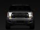 Headlight LED Conversion Bulb Kit; H13 (04-14 F-150)