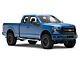 RedRock 4-Inch Oval Straight Side Step Bars; Stainless Steel (15-24 F-150 SuperCab)