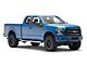 RedRock 6-Inch Oval Straight End Side Step Bars; Stainless Steel (15-24 F-150 SuperCab)